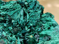 Natural Silky Malachite Specimens x 1 From Kasompe, Congo - Toprock Gemstones and Minerals 