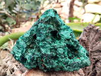 Natural Silky Malachite Specimens x 1 From Kasompe, Congo - Toprock Gemstones and Minerals 