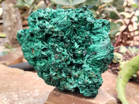 Natural Silky Malachite Specimens x 1 From Kasompe, Congo - Toprock Gemstones and Minerals 