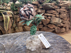 Hand Made Medium Gemstone Protea Flower - sold per piece From South Africa - Toprock Gemstones and Minerals 