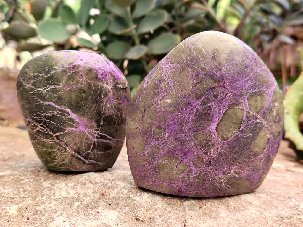 Polished Stichtite Standing Free Forms x 6 From Barberton, South Africa - Toprock Gemstones and Minerals 