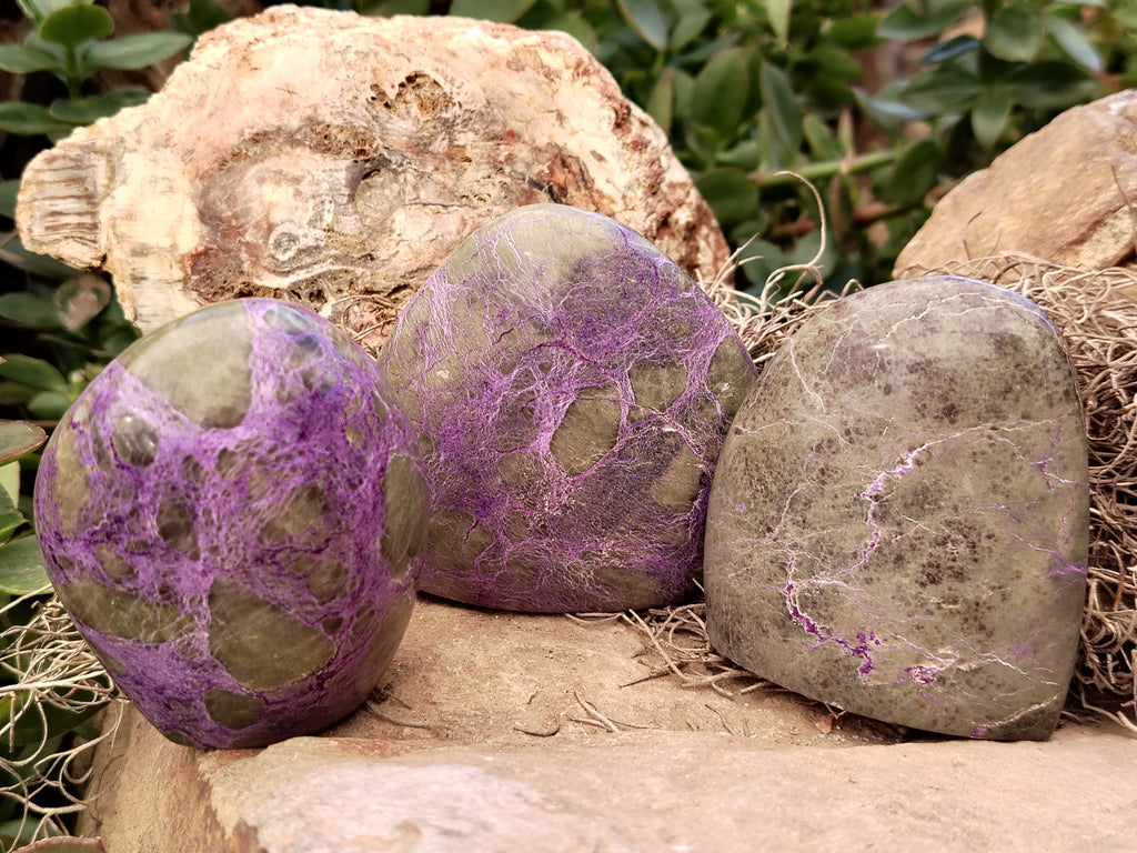Polished Stichtite Standing Free Forms x 6 From Barberton, South Africa - Toprock Gemstones and Minerals 