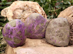 Polished Stichtite Standing Free Forms x 6 From Barberton, South Africa - Toprock Gemstones and Minerals 