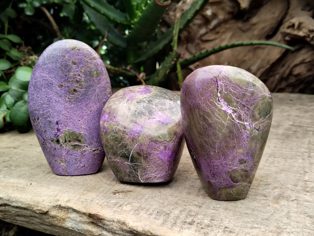 Polished Stichtite Standing Free Forms x 6 From Barberton, South Africa - Toprock Gemstones and Minerals 