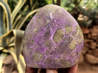 Polished Stichtite Standing Free Forms x 6 From Barberton, South Africa - Toprock Gemstones and Minerals 