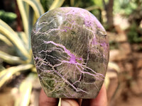 Polished Stichtite Standing Free Forms x 6 From Barberton, South Africa - Toprock Gemstones and Minerals 
