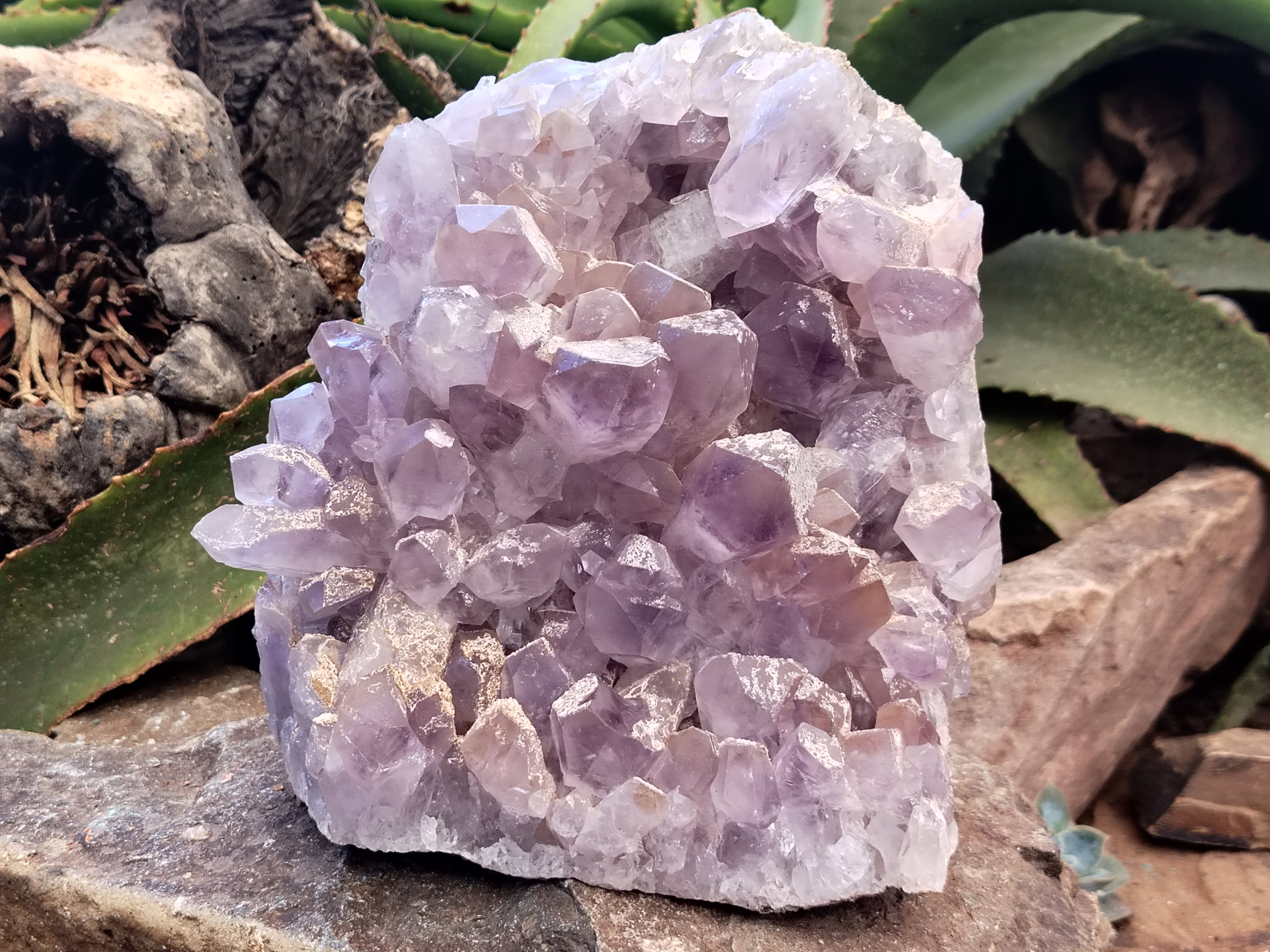 Natural Jacaranda Amethyst Quartz Cluster x 1 From Mumbwa, Zambia - Toprock Gemstones and Minerals 