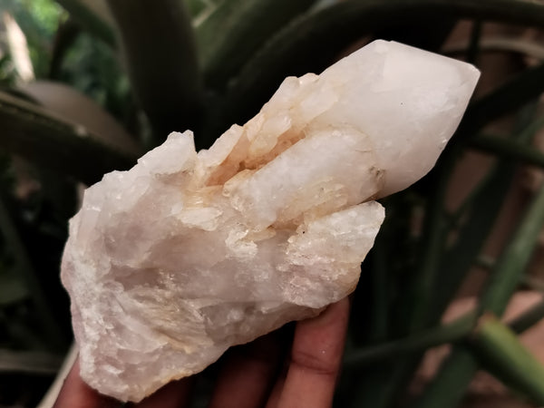 Natural Quartz Clusters x 3 From Madagascar - Toprock Gemstones and Minerals 