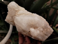 Natural Quartz Clusters x 3 From Madagascar - Toprock Gemstones and Minerals 