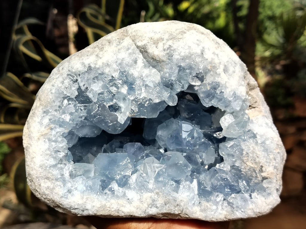 Natural Celestite Geode Specimen x 1 From Sakoany, Madagascar - Toprock Gemstones and Minerals 