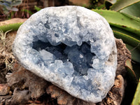 Natural Celestite Geode Specimen x 1 From Sakoany, Madagascar