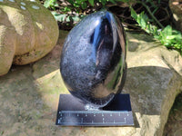 Polished Black Tourmaline Standing Free Form x 1 From Madagascar - Toprock Gemstones and Minerals 
