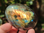 Polished Labradorite Palm Stones x 27 From Tulear, Madagascar - Toprock Gemstones and Minerals 