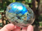Polished Labradorite Palm Stones x 27 From Tulear, Madagascar - Toprock Gemstones and Minerals 