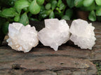 Natural Amethyst Cactus Spirit Quartz Clusters x 12 From South Africa - Toprock Gemstones and Minerals 