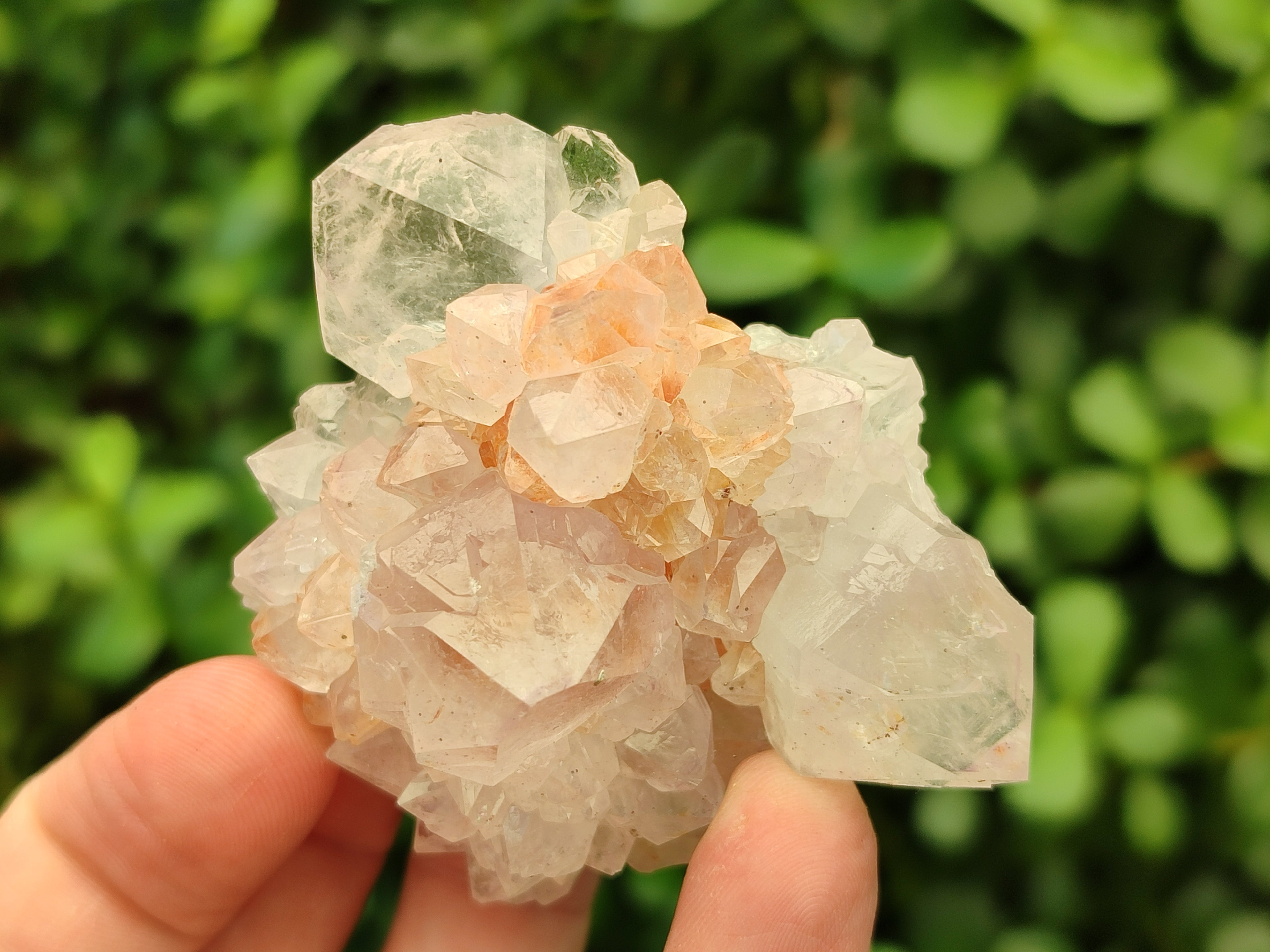 Natural Amethyst Cactus Spirit Quartz Clusters x 12 From South Africa - Toprock Gemstones and Minerals 