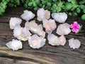 Natural Amethyst Cactus Spirit Quartz Clusters x 12 From South Africa - Toprock Gemstones and Minerals 