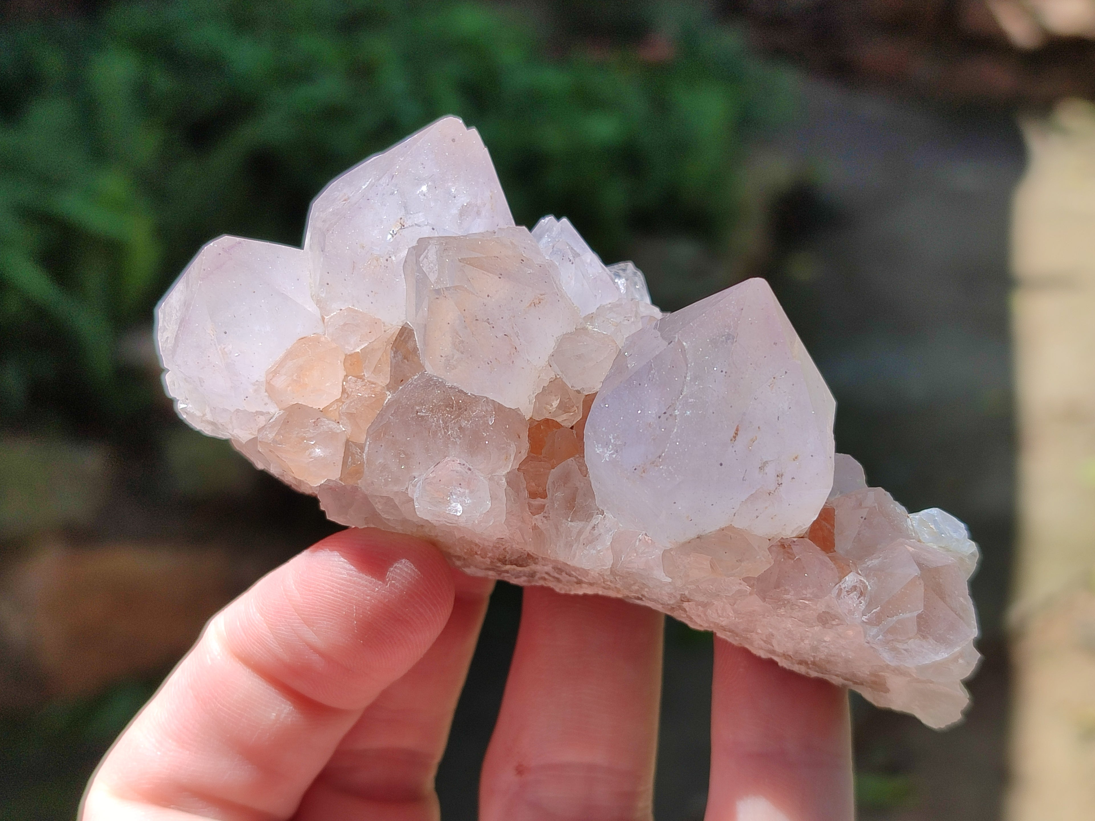 Natural Amethyst Cactus Spirit Quartz Clusters x 12 From South Africa - Toprock Gemstones and Minerals 