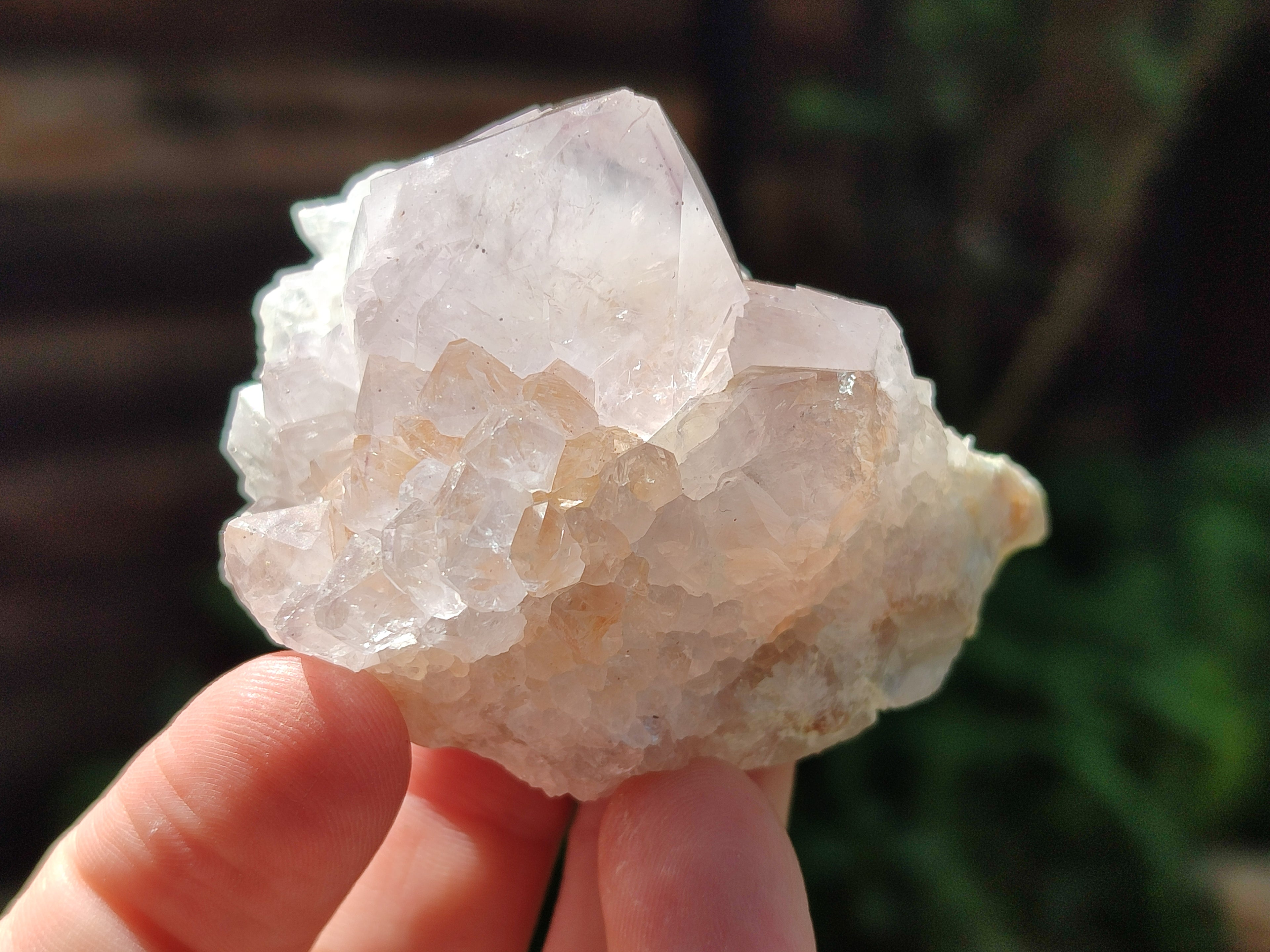 Natural Amethyst Cactus Spirit Quartz Clusters x 12 From South Africa - Toprock Gemstones and Minerals 
