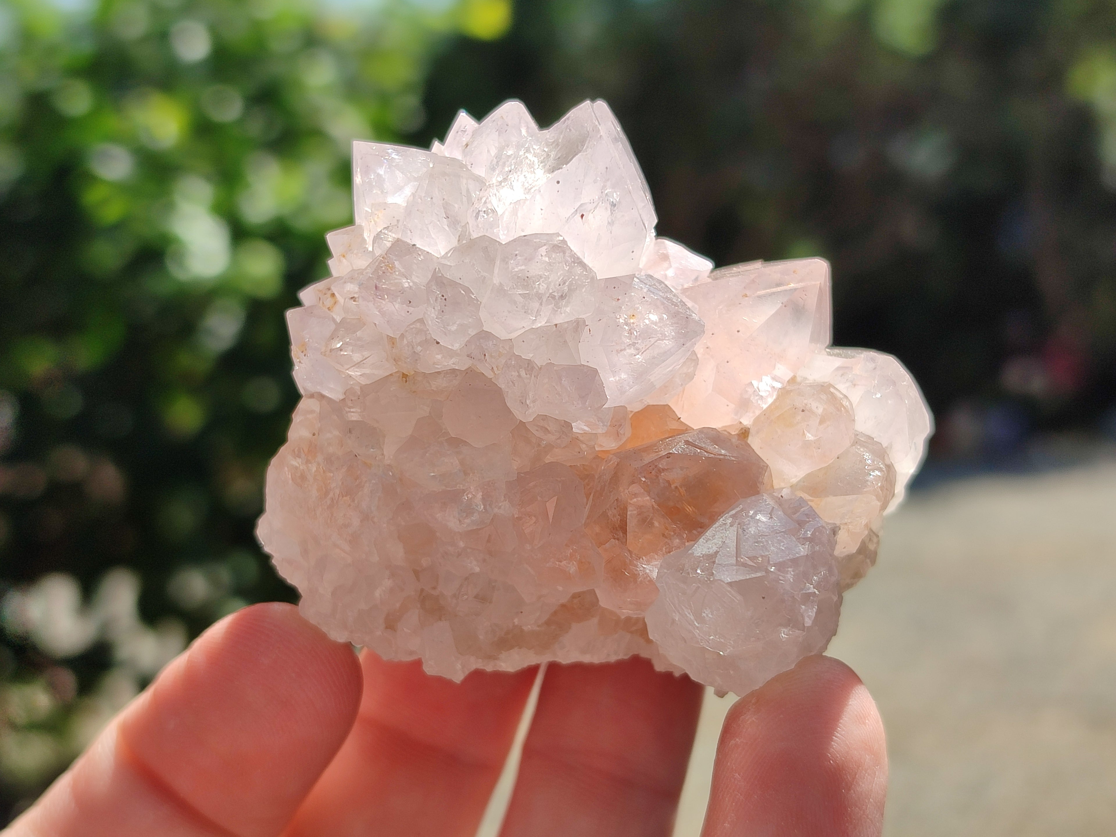 Natural Amethyst Cactus Spirit Quartz Clusters x 12 From South Africa - Toprock Gemstones and Minerals 