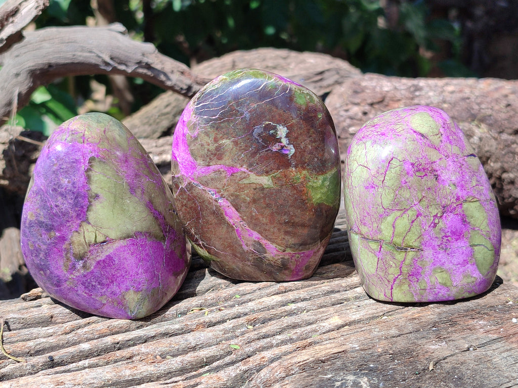 Polished Stichtite Standing Free Forms x 3 From Barberton, South Africa - Toprock Gemstones and Minerals 