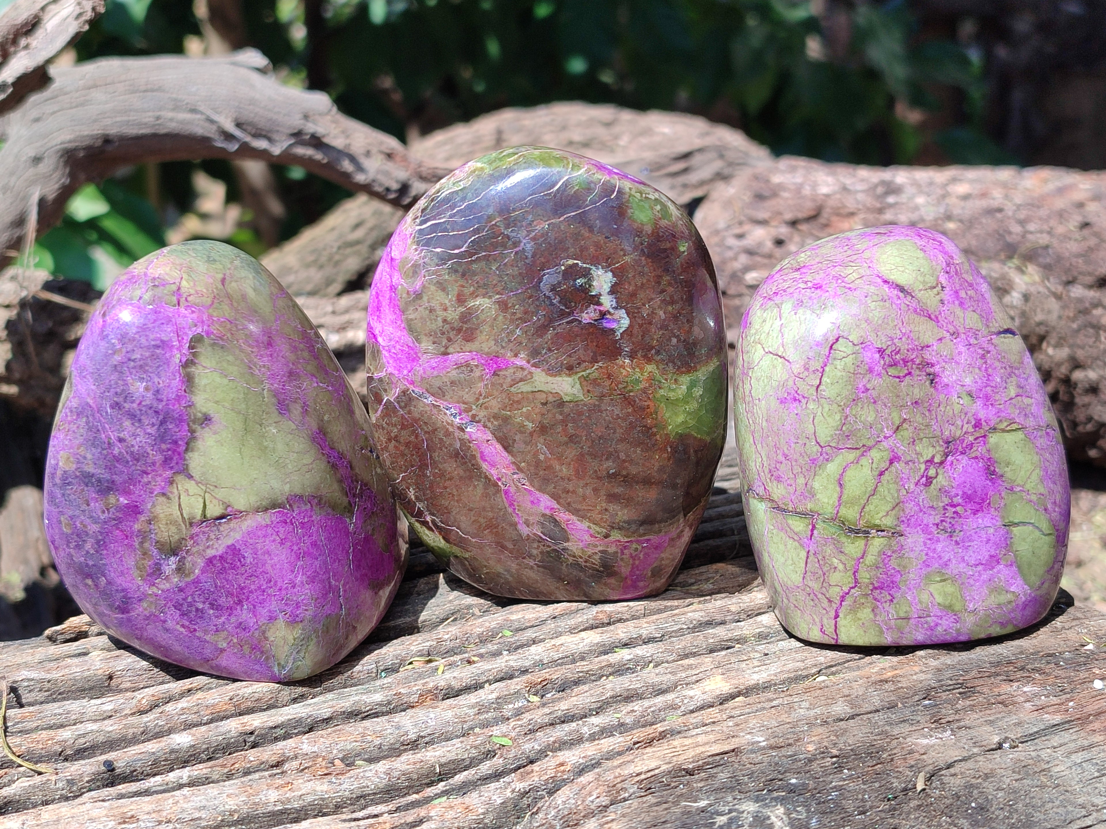 Polished Stichtite Standing Free Forms x 3 From Barberton, South Africa - Toprock Gemstones and Minerals 