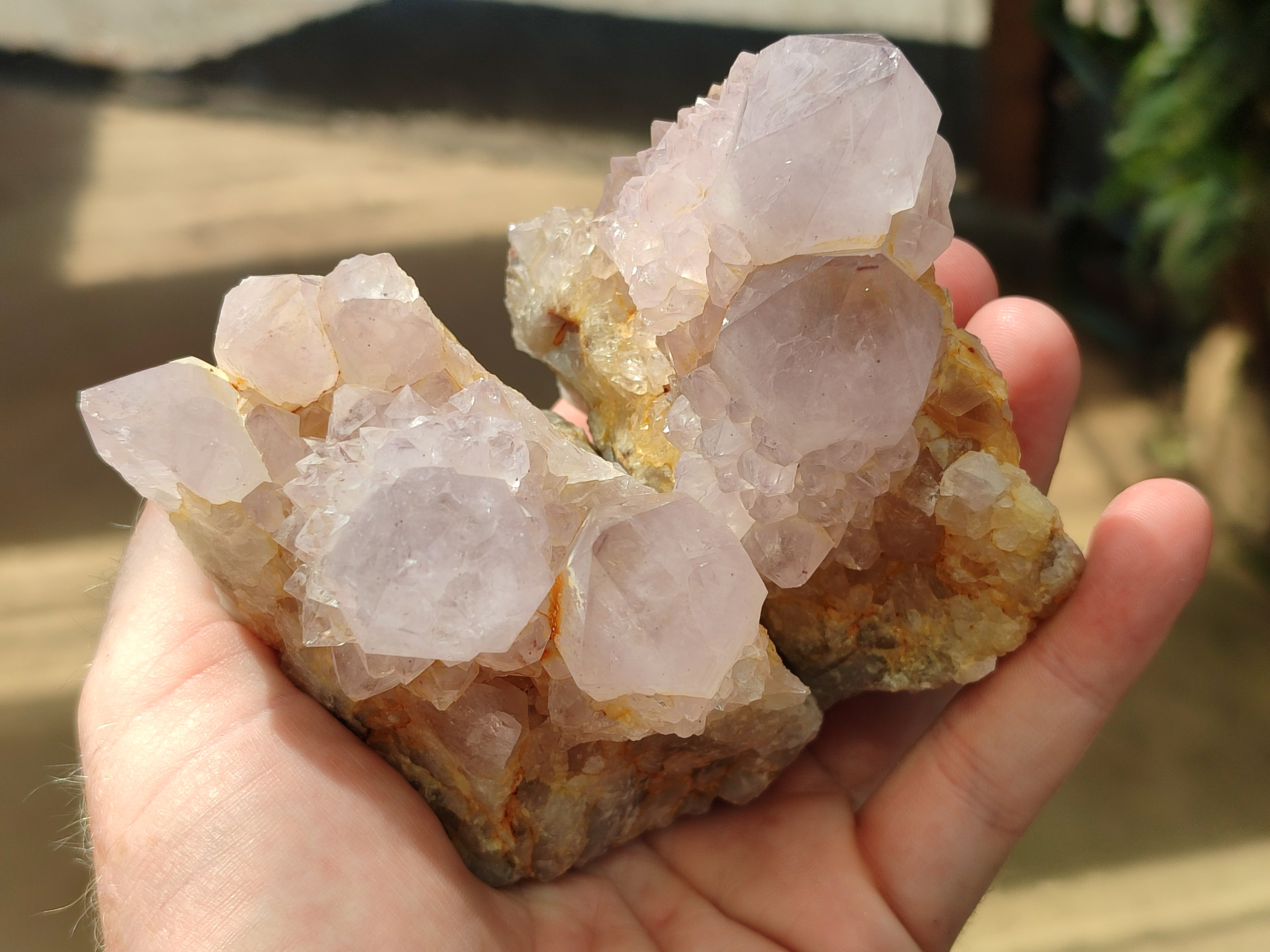 Natural Amethyst Spirit Quartz Clusters x 6 From Boekenhouthoek, South Africa - Toprock Gemstones and Minerals 