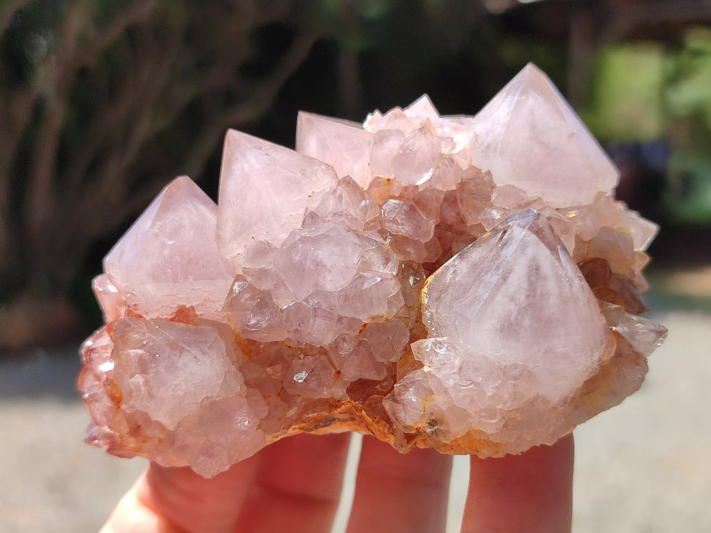 Natural Amethyst Spirit Quartz Clusters x 6 From Boekenhouthoek, South Africa - Toprock Gemstones and Minerals 
