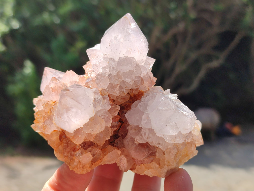 Natural Amethyst Spirit Quartz Clusters x 6 From Boekenhouthoek, South Africa - Toprock Gemstones and Minerals 