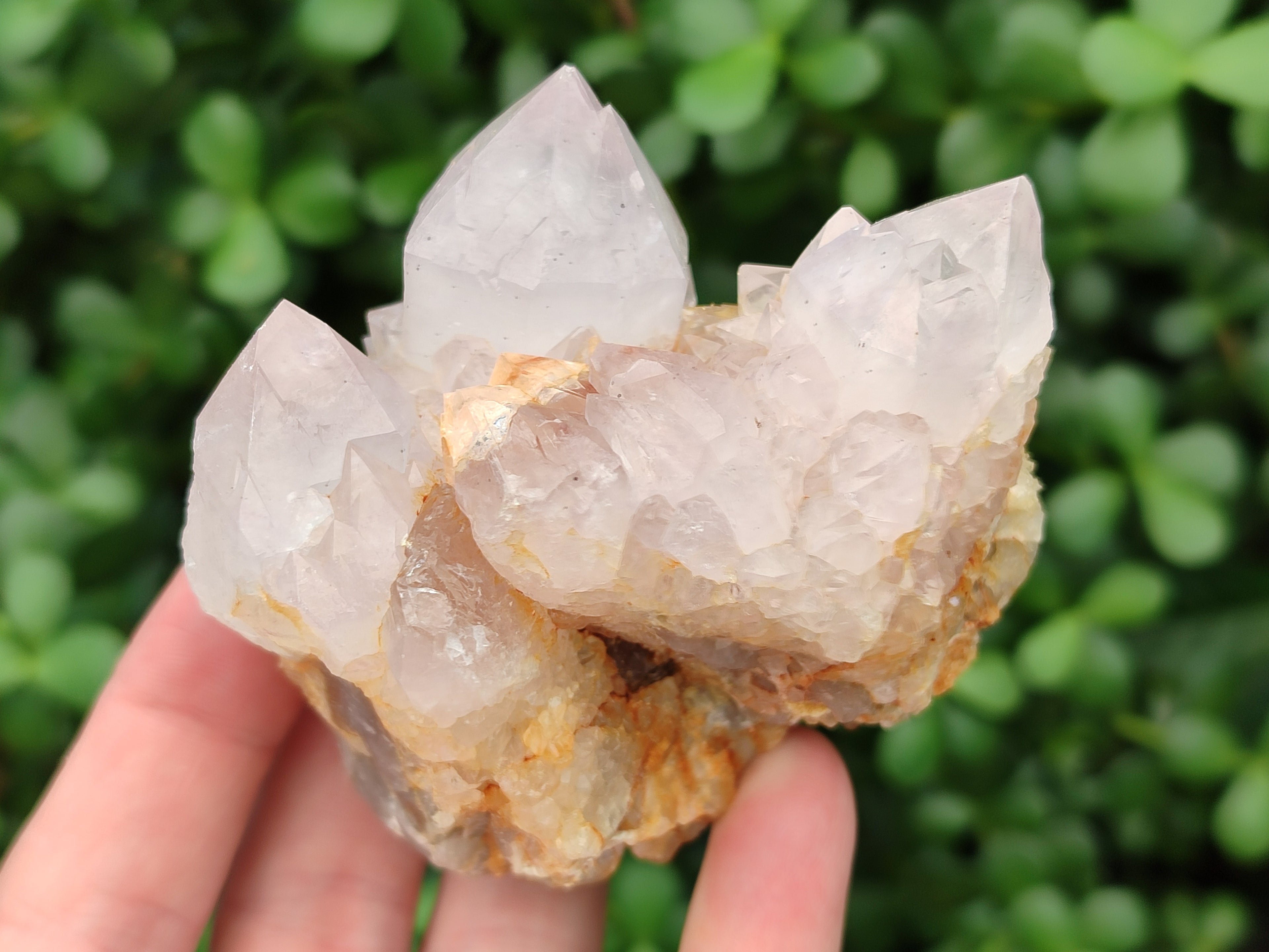Natural Amethyst Spirit Quartz Clusters x 6 From Boekenhouthoek, South Africa - Toprock Gemstones and Minerals 