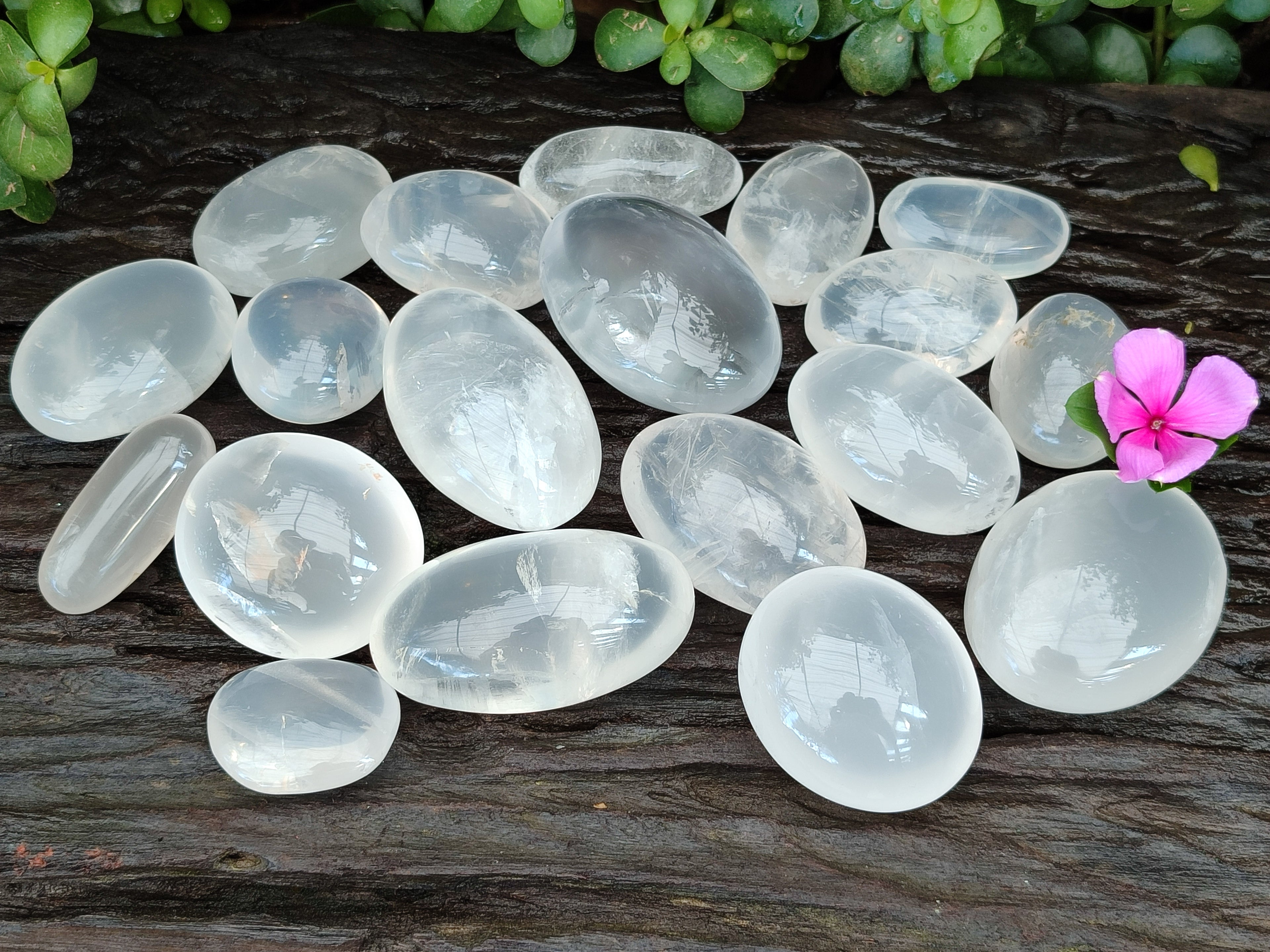 Polished Girasol Pearl Quartz Palm Stones x 24 From Ambatondrazaka, Madagascar - Toprock Gemstones and Minerals 