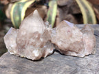 Natural Smokey Phantom Quartz Clusters x 12 From Luena, Congo - Toprock Gemstones and Minerals 