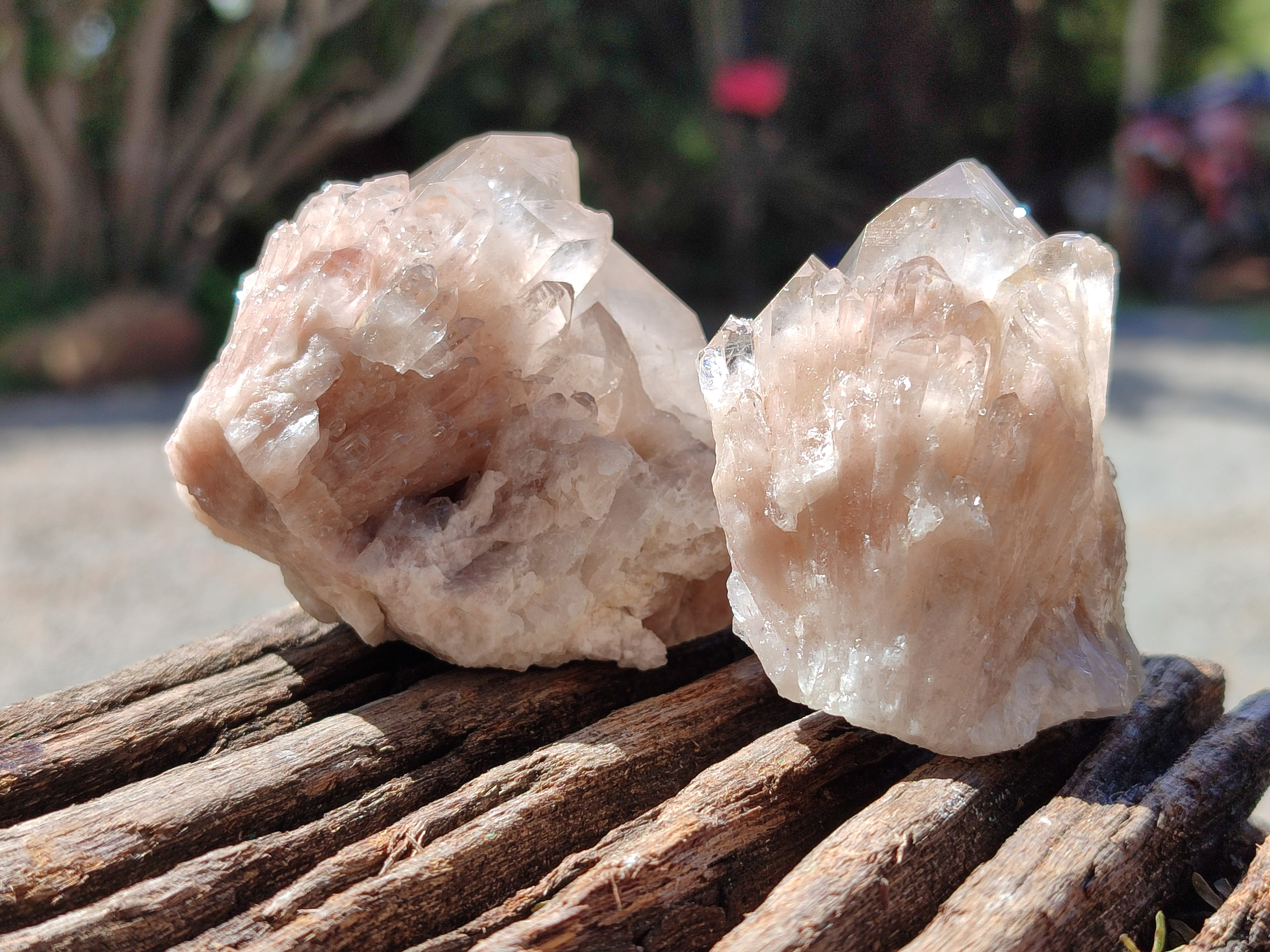 Natural Smokey Phantom Quartz Clusters x 12 From Luena, Congo - Toprock Gemstones and Minerals 