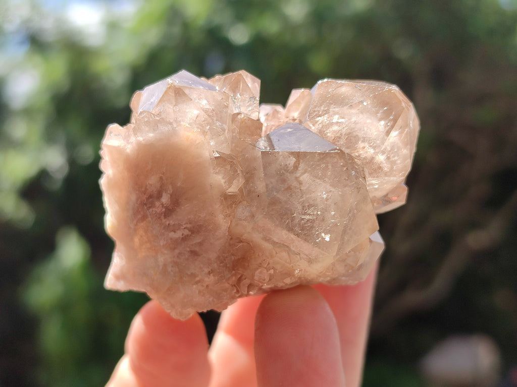 Natural Smokey Phantom Quartz Clusters x 12 From Luena, Congo - Toprock Gemstones and Minerals 