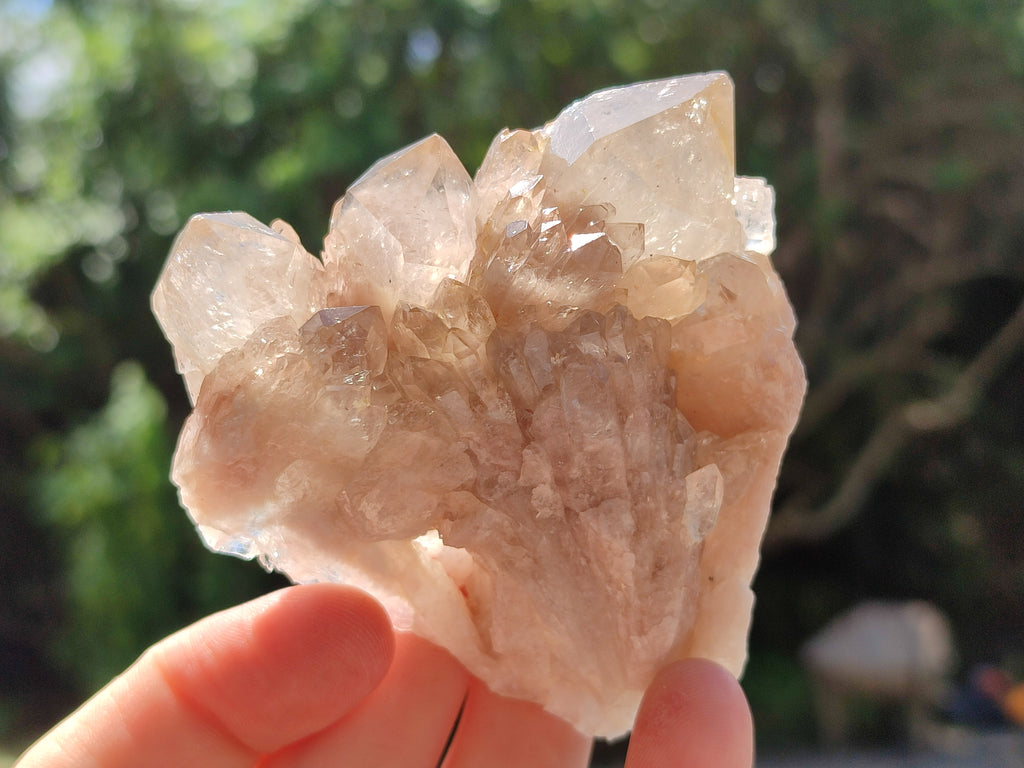 Natural Smokey Phantom Quartz Clusters x 12 From Luena, Congo - Toprock Gemstones and Minerals 