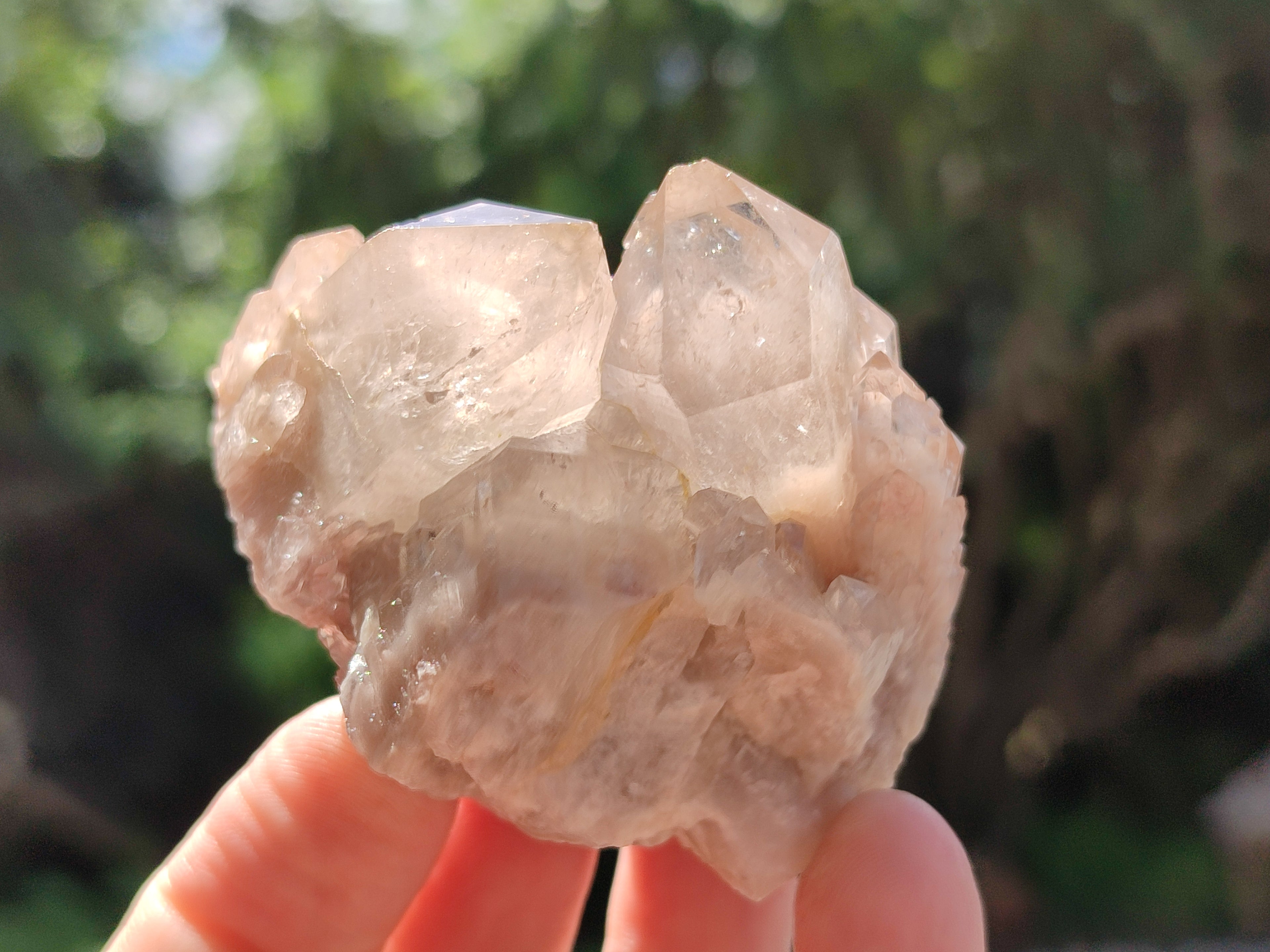 Natural Smokey Phantom Quartz Clusters x 12 From Luena, Congo - Toprock Gemstones and Minerals 