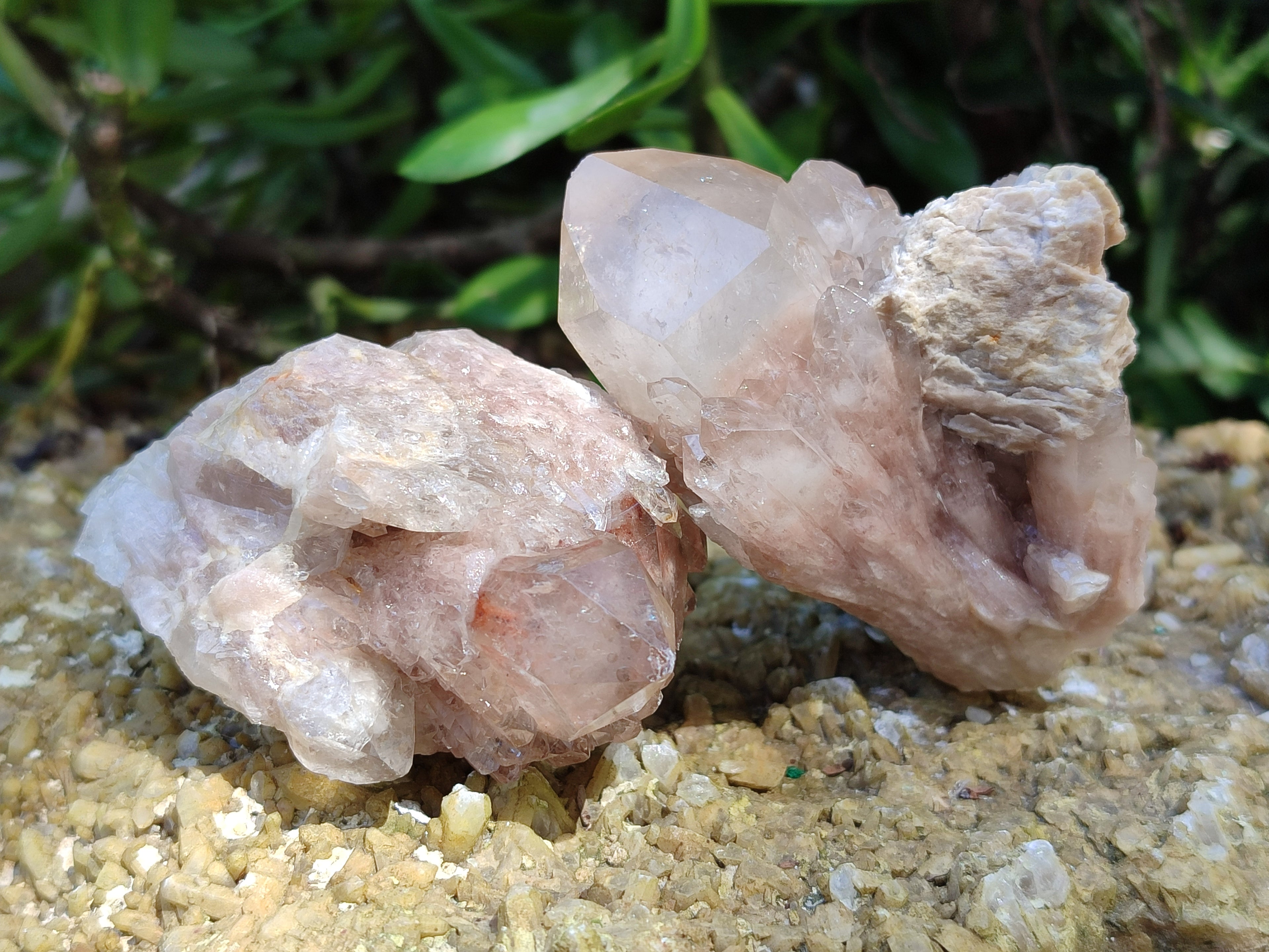 Natural Smokey Phantom Quartz Clusters x 12 From Luena, Congo - Toprock Gemstones and Minerals 
