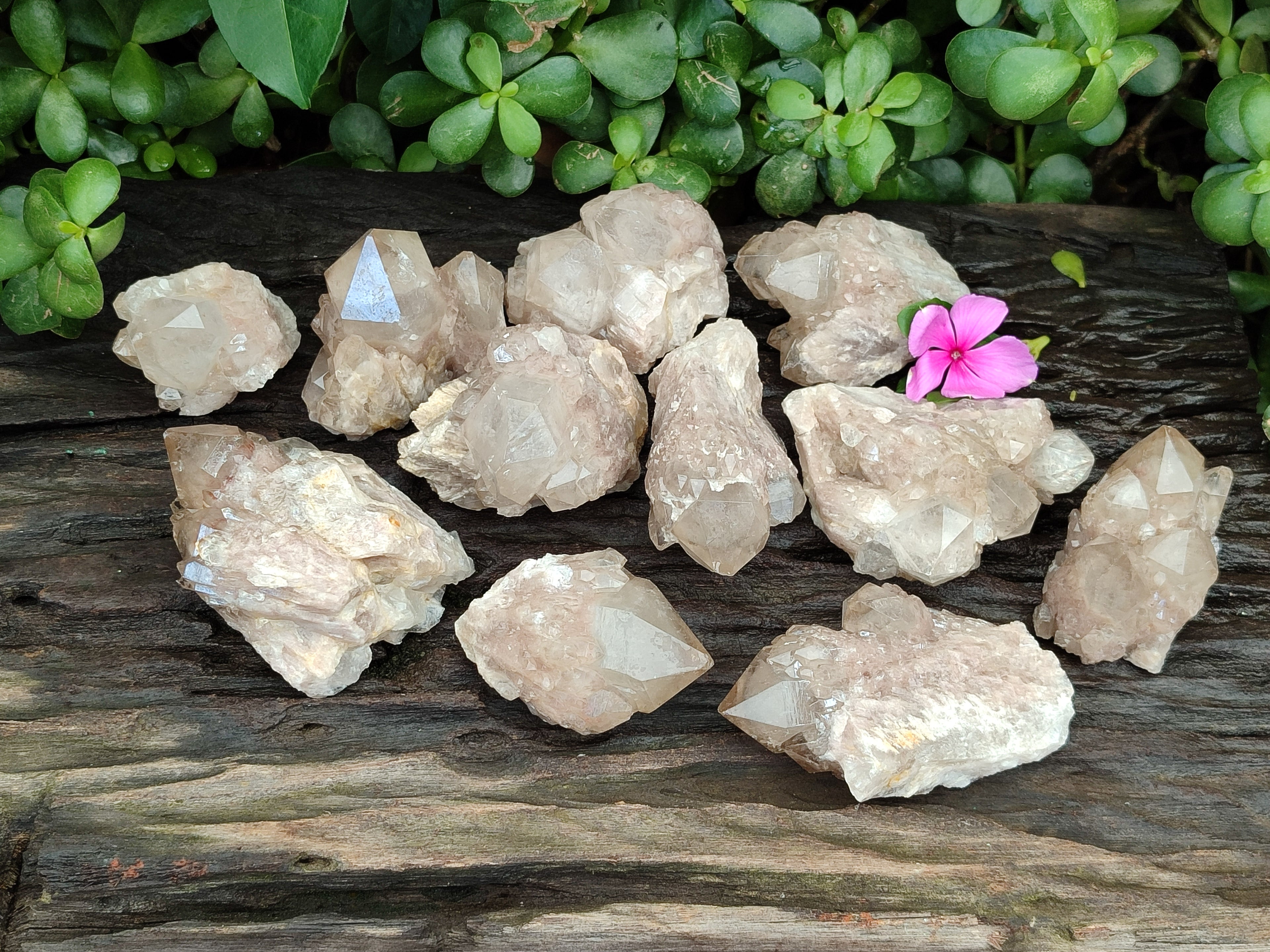 Natural Smokey Phantom Quartz Clusters x 12 From Luena, Congo - Toprock Gemstones and Minerals 