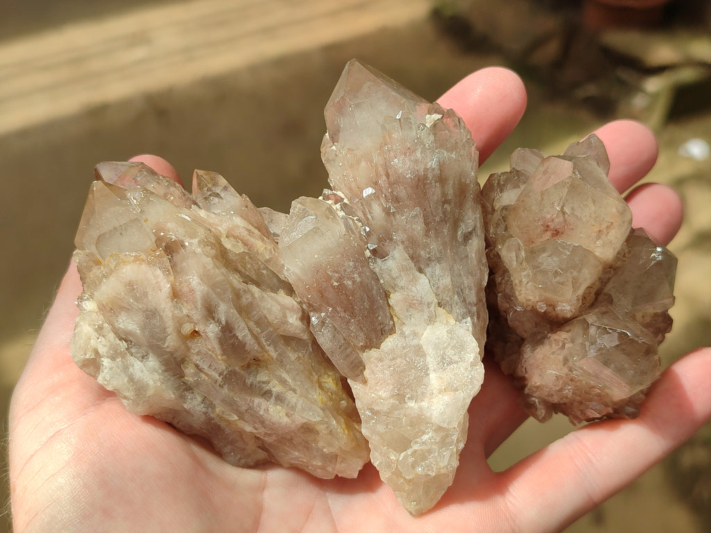 Natural Smokey Phantom Quartz Clusters x 12 From Luena, Congo - Toprock Gemstones and Minerals 
