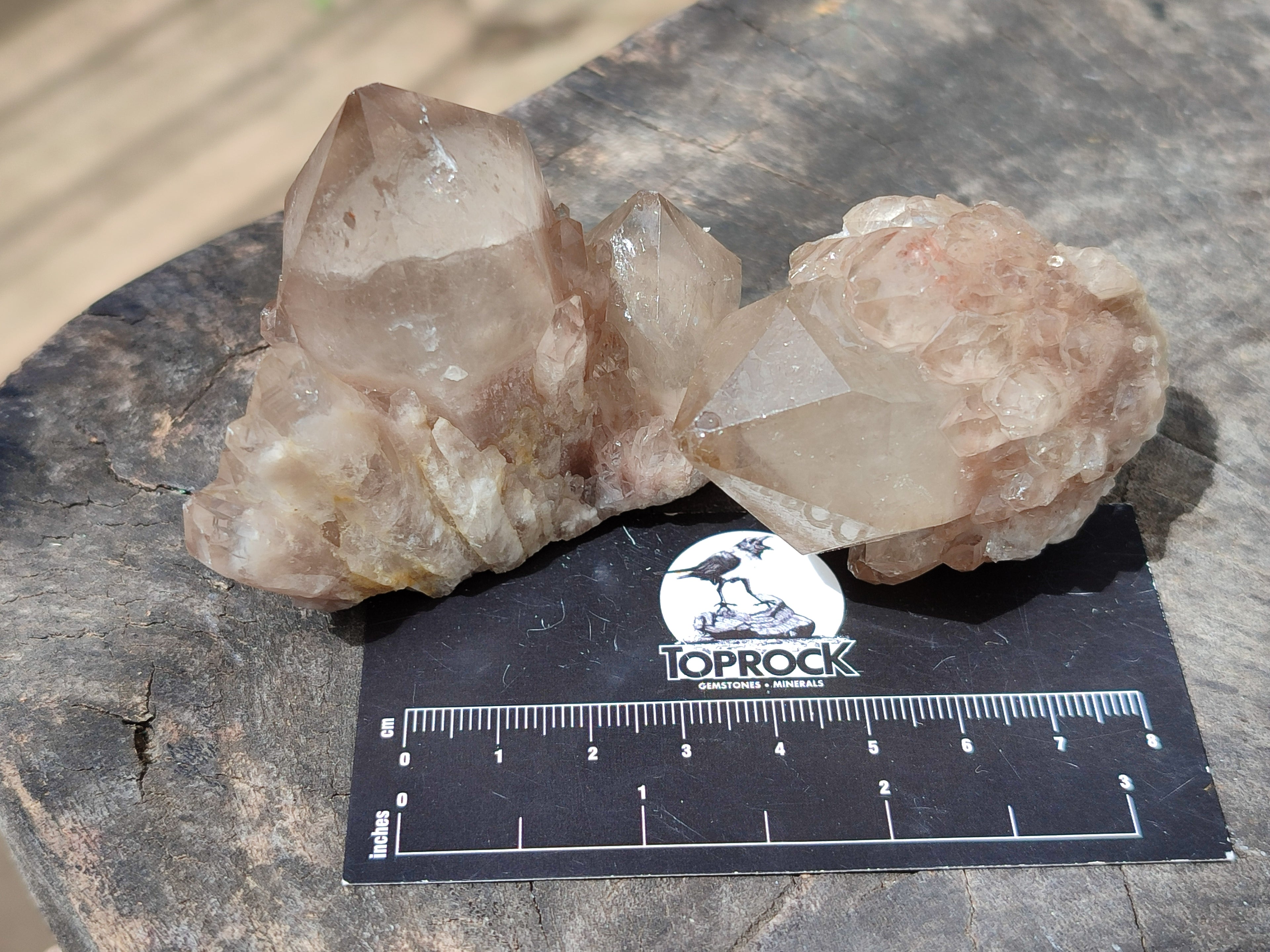 Natural Smokey Phantom Quartz Clusters x 12 From Luena, Congo - Toprock Gemstones and Minerals 
