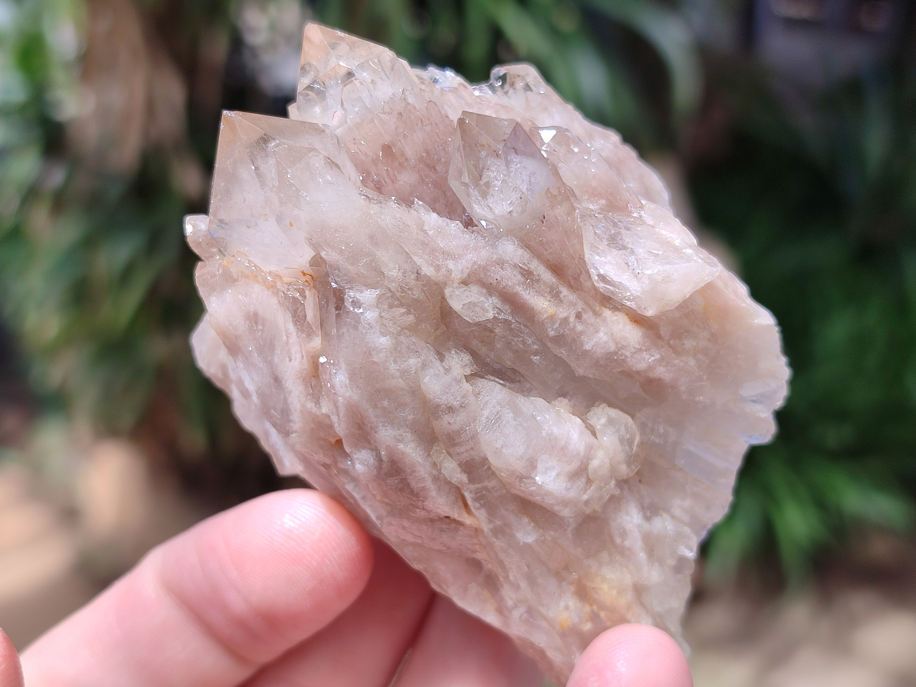 Natural Smokey Phantom Quartz Clusters x 12 From Luena, Congo - Toprock Gemstones and Minerals 