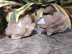 Natural Smokey Phantom Quartz Clusters x 12 From Luena, Congo - Toprock Gemstones and Minerals 