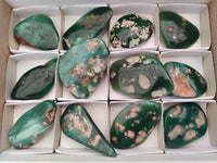 Polished Emerald Mtorolite Free Forms x 12 From Zimbabwe - Toprock Gemstones and Minerals 