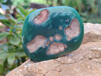 Polished Emerald Mtorolite Free Forms x 12 From Zimbabwe - Toprock Gemstones and Minerals 