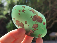 Polished Emerald Mtorolite Free Forms x 12 From Zimbabwe - Toprock Gemstones and Minerals 