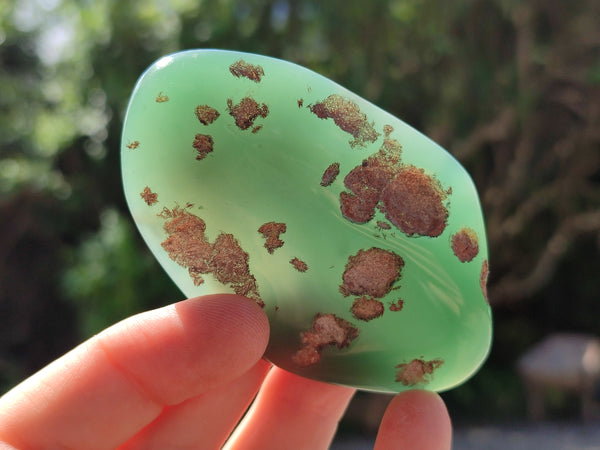 Polished Emerald Mtorolite Free Forms x 12 From Zimbabwe