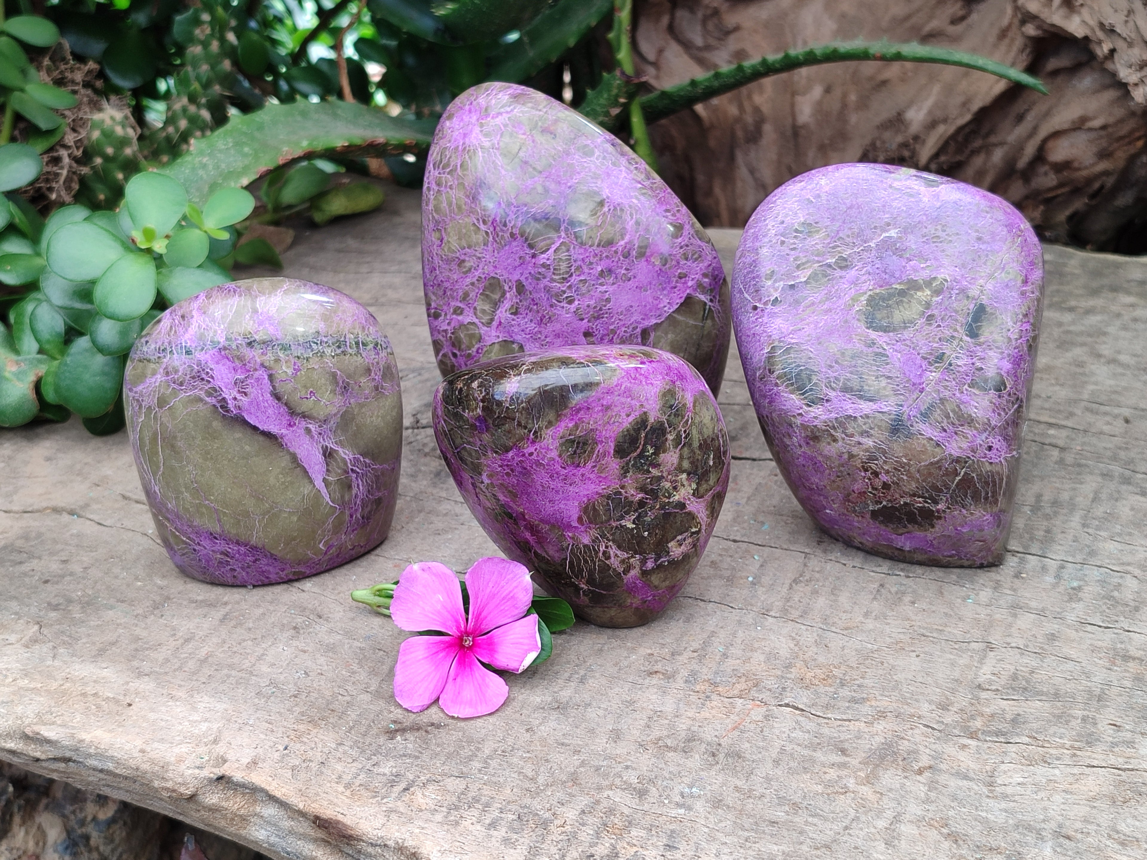 Polished Stichtite Standing Free Forms x 4 From Barberton, South Africa - Toprock Gemstones and Minerals 