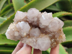 Natural Amethyst Spirit Quartz Clusters x 3 From South Africa - Toprock Gemstones and Minerals 