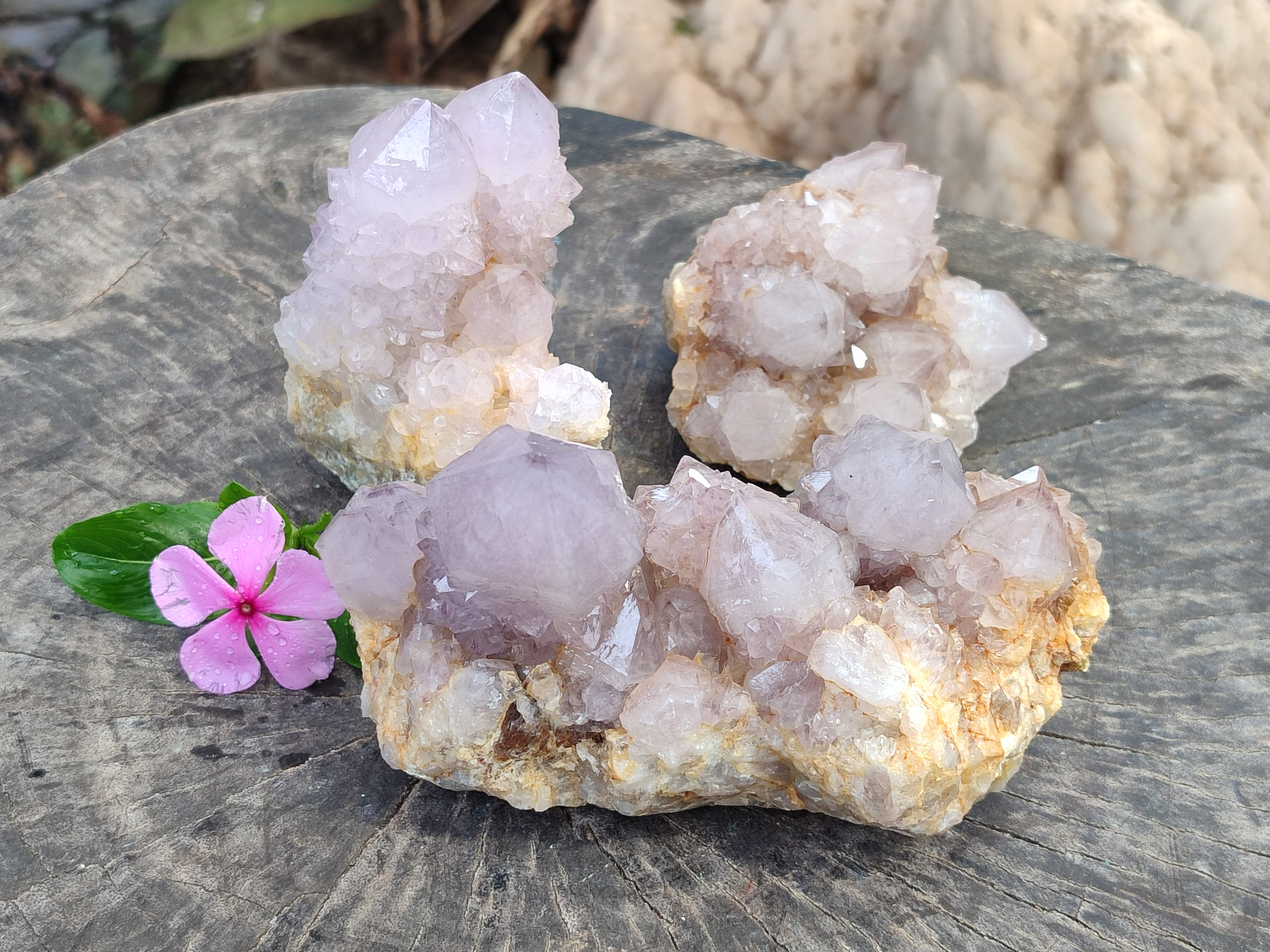 Natural Amethyst Spirit Quartz Clusters x 3 From South Africa - Toprock Gemstones and Minerals 
