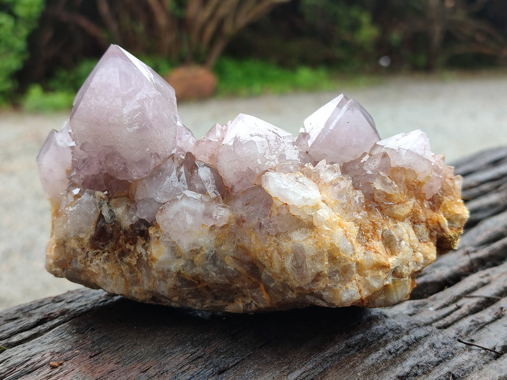 Natural Amethyst Spirit Quartz Clusters x 3 From South Africa - Toprock Gemstones and Minerals 
